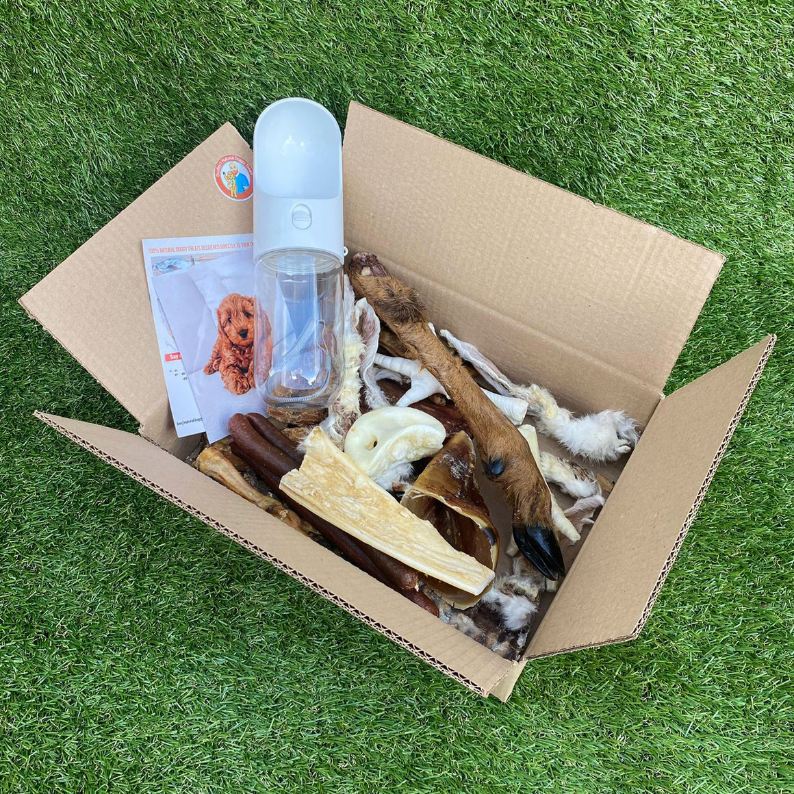 Dudley’s Summer Ready Box - Dudley's Natural Doggy Treats