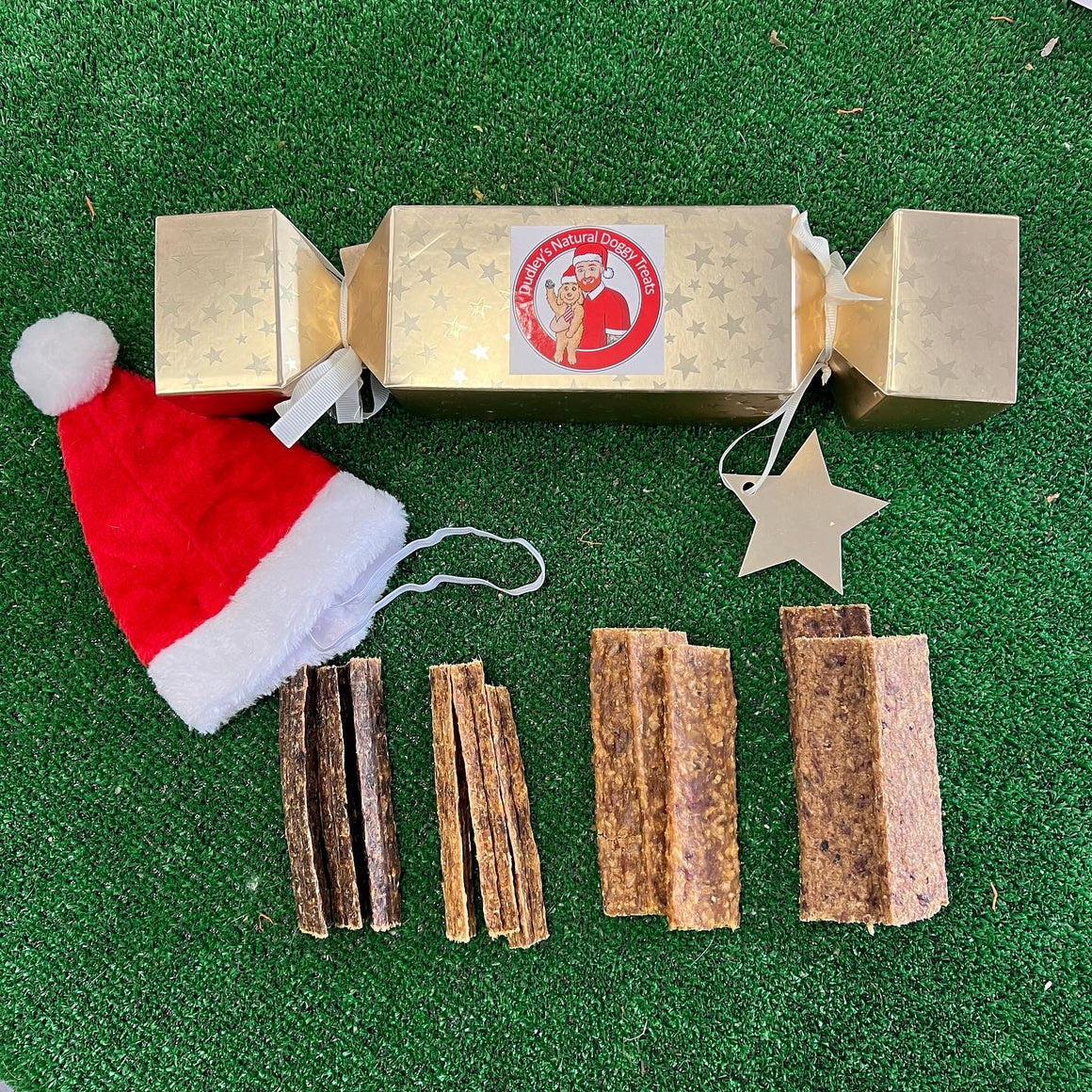 Christmas Cracker - Dudley's Natural Doggy Treats