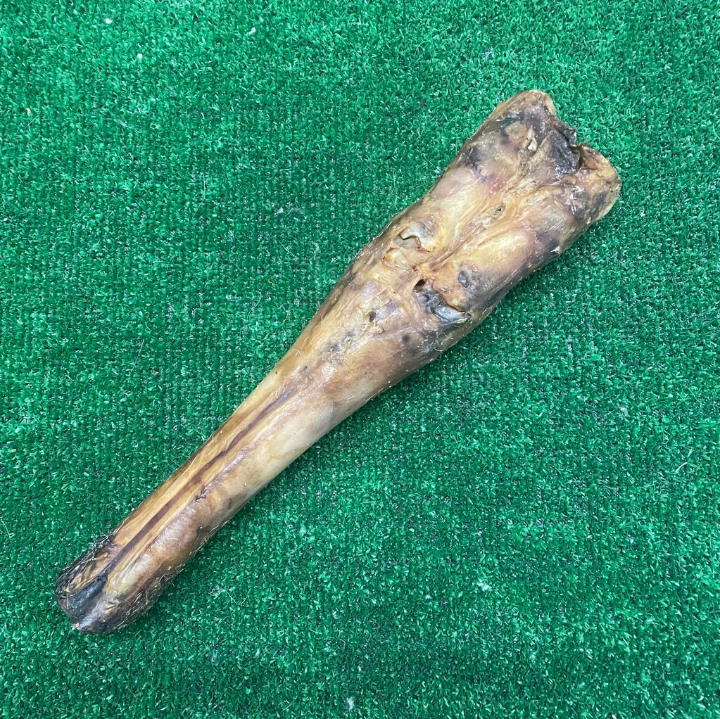 Giant Beef Bone