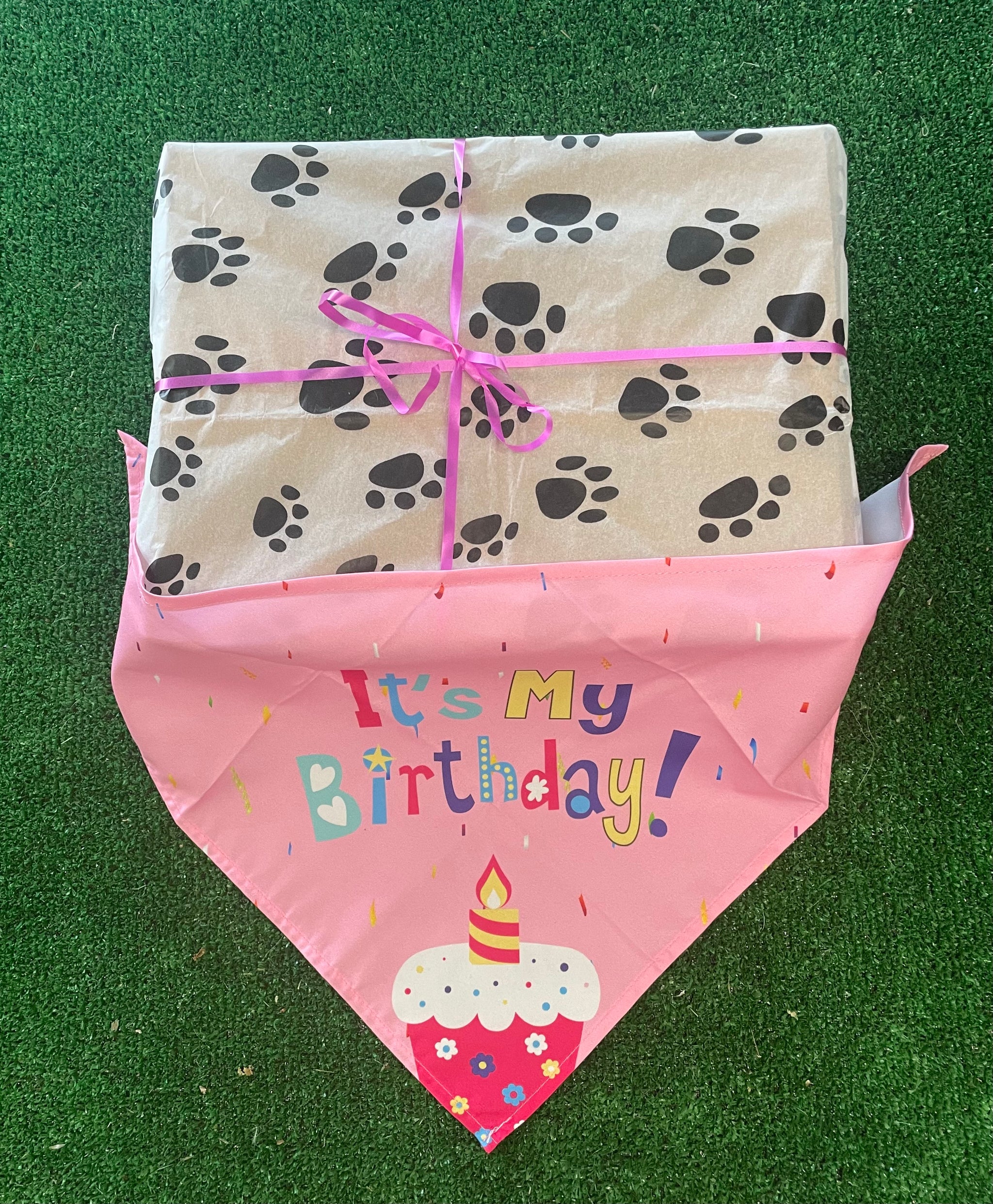 Birthday Girl Box - Dudley's Natural Doggy Treats