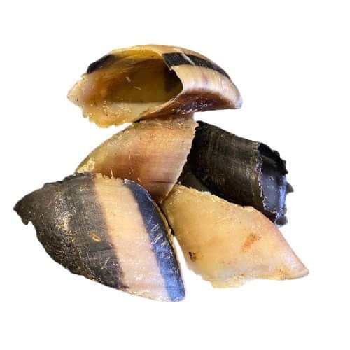 5 Cow Hooves - Dudley's Natural Doggy Treats