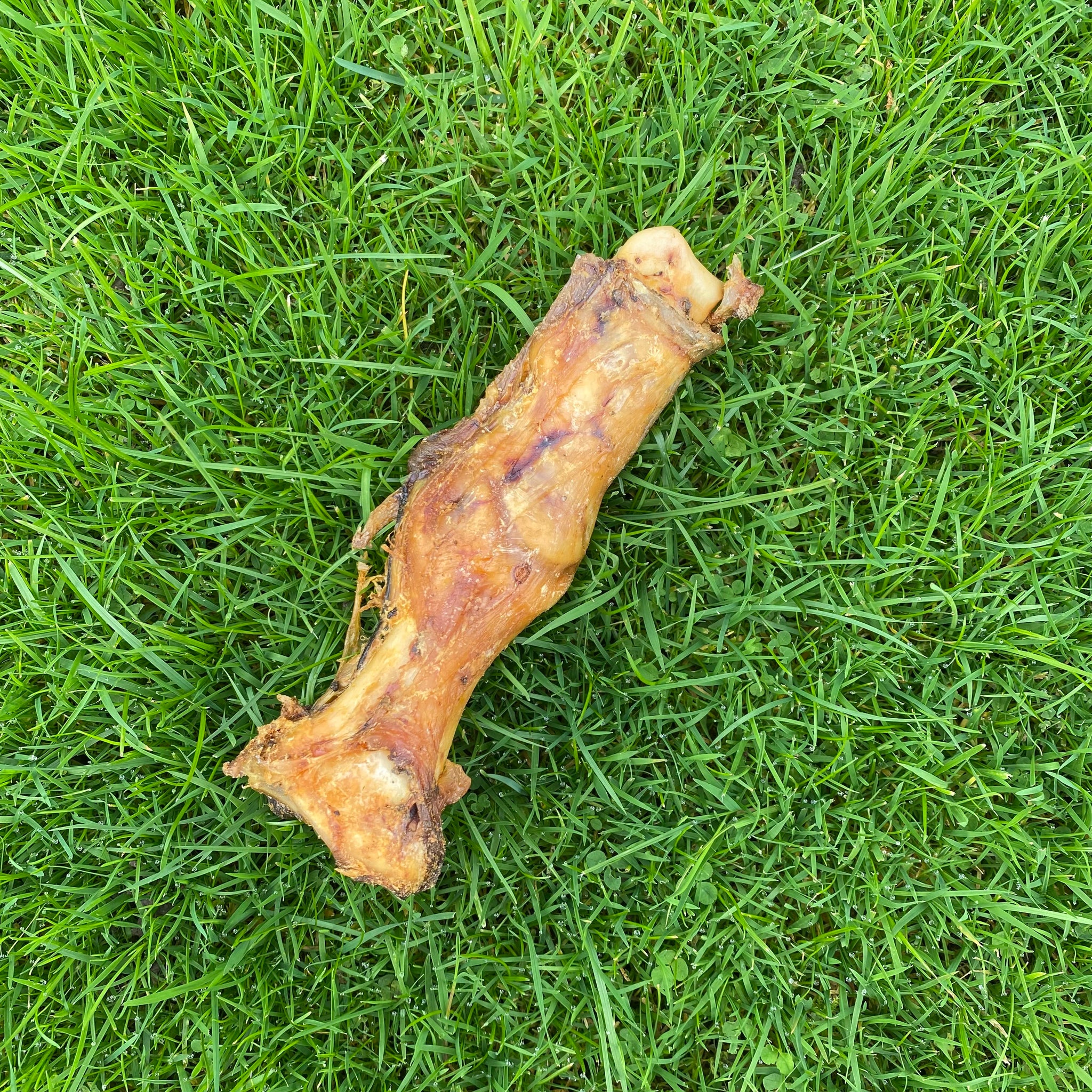 Ostrich foot - Dudley's Natural Doggy Treats