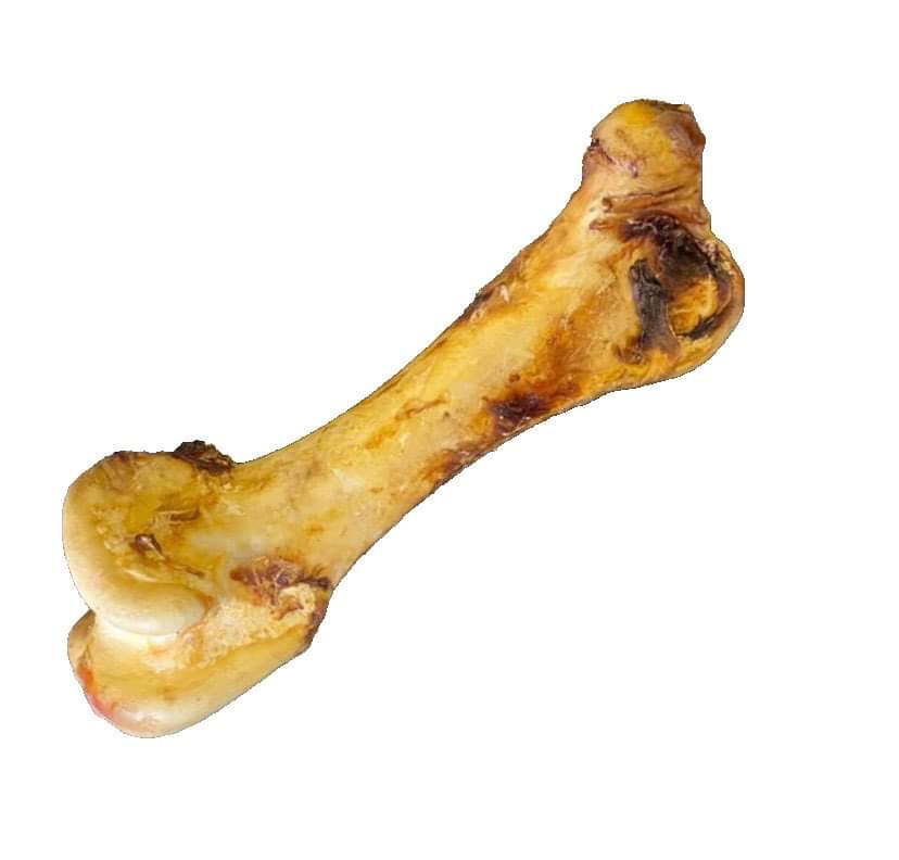 Ostrich Dino Bone - Dudley's Natural Doggy Treats