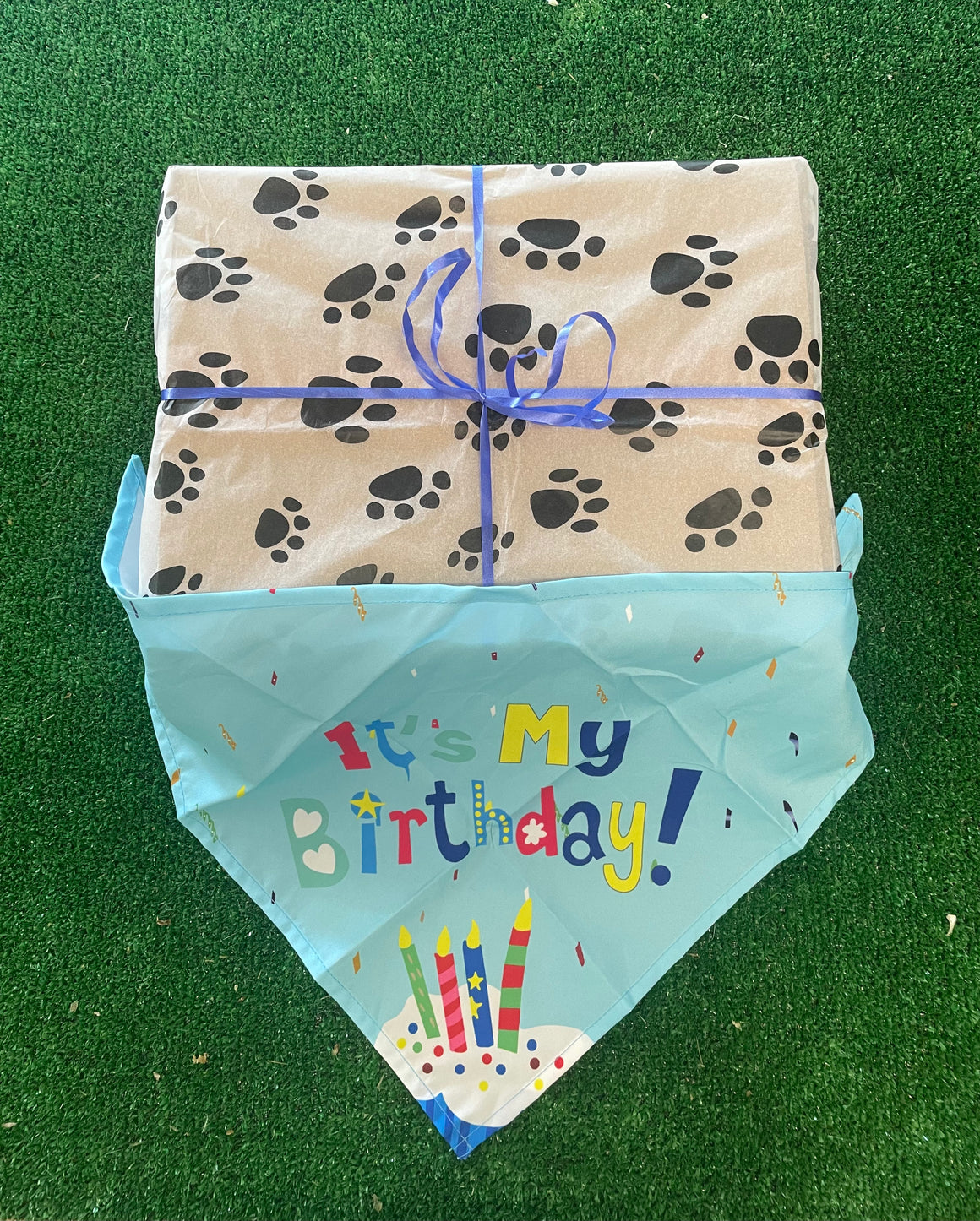 Birthday Boy Box - Dudley's Natural Doggy Treats