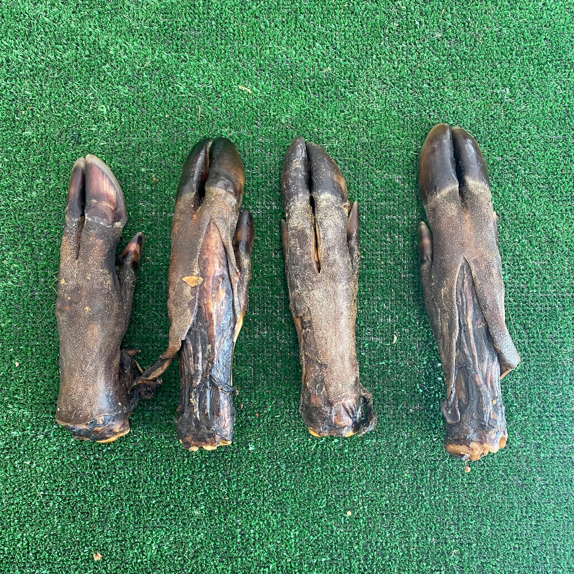 4 Wild Boar Trotters - Dudley's Natural Doggy Treats