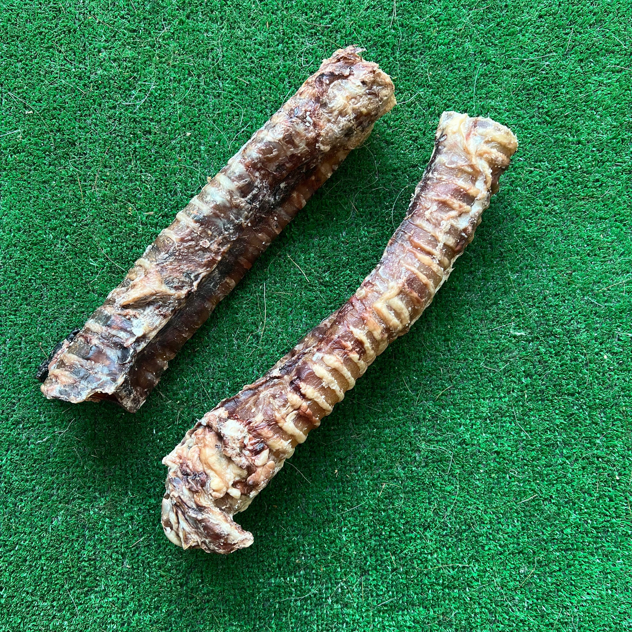 Trachea - Dudley's Natural Doggy Treats