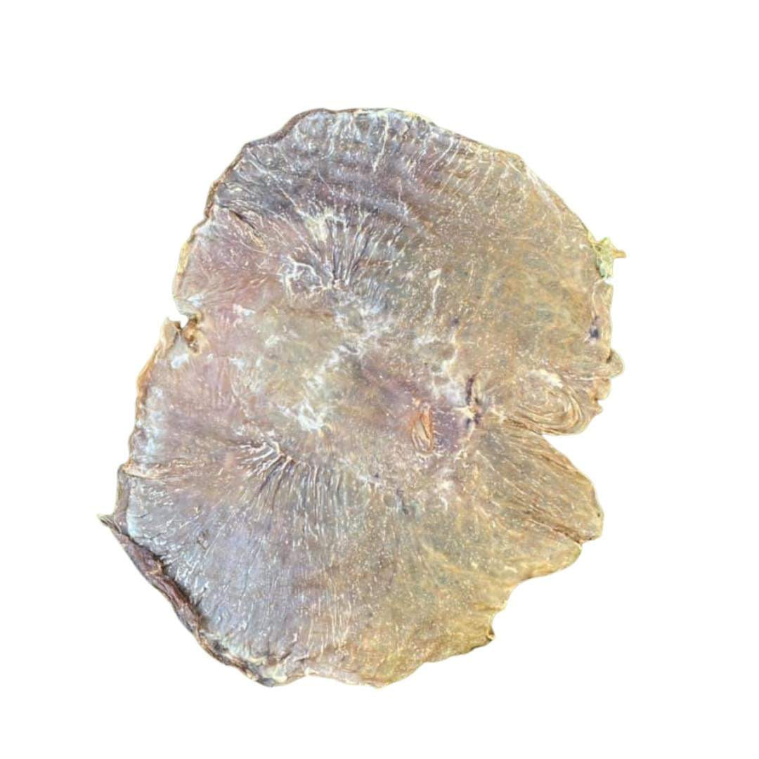 Pigs Stomach - Dudley's Natural Doggy Treats