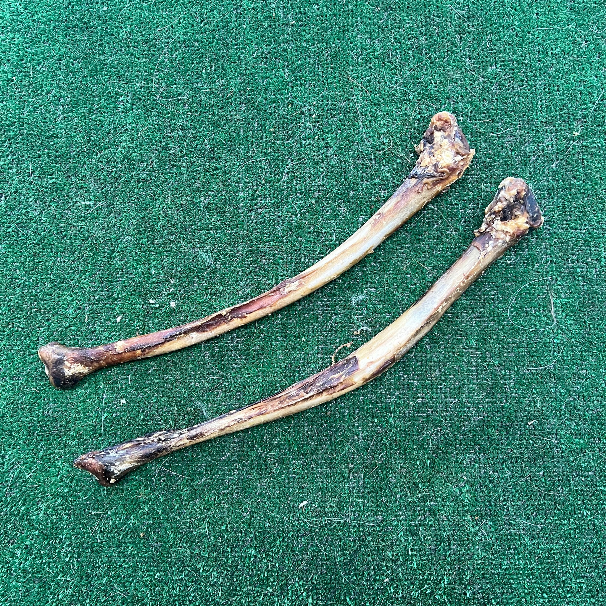 Ostrich Wing Bone - Dudley's Natural Doggy Treats