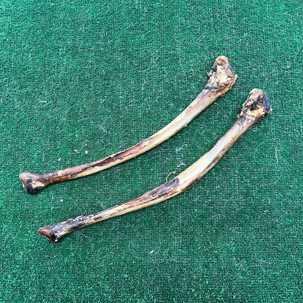 Ostrich Wing Bone - Dudley's Natural Doggy Treats