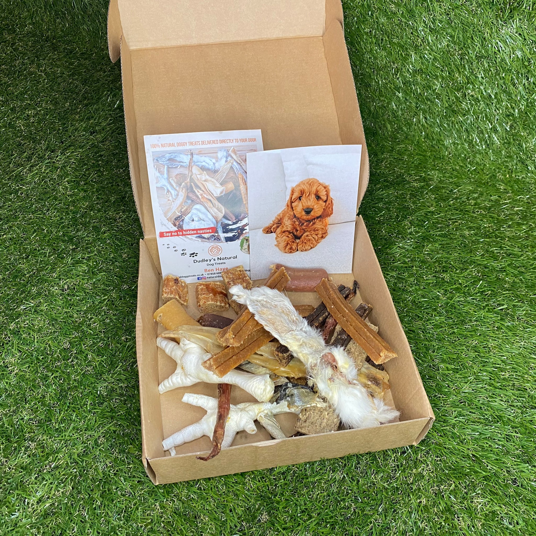 Puppy Treat Box - Dudley's Natural Doggy Treats
