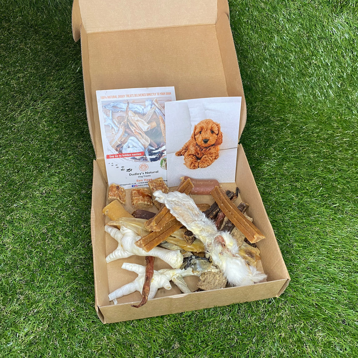 Puppy Treat Box - Dudley's Natural Doggy Treats