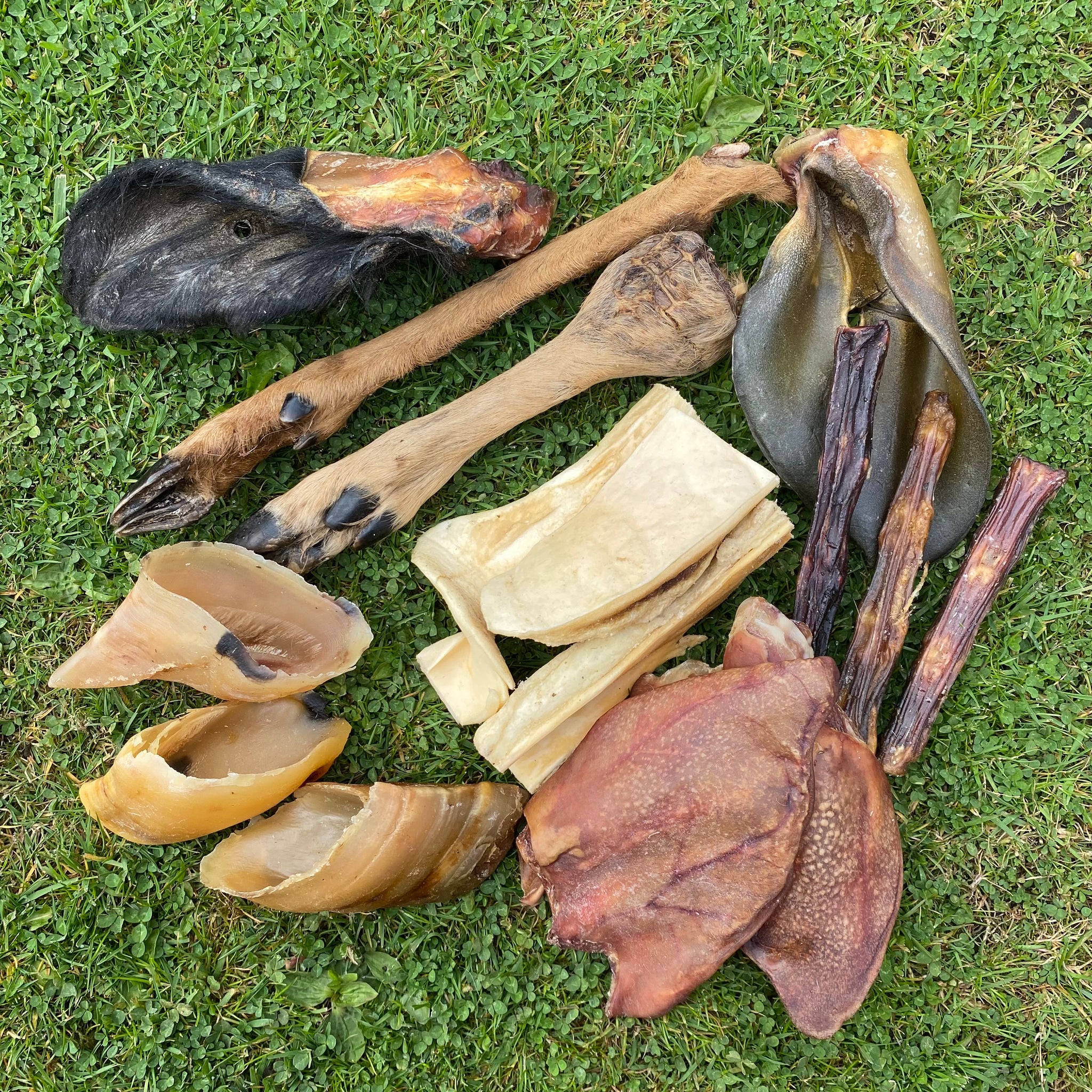 The Big Chew Box - 15 Long Lasting Chews - Dudley's Natural Doggy Treats